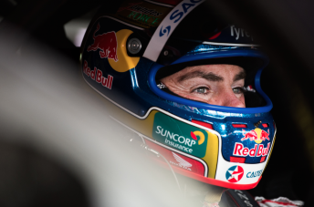 Craig Lowndes